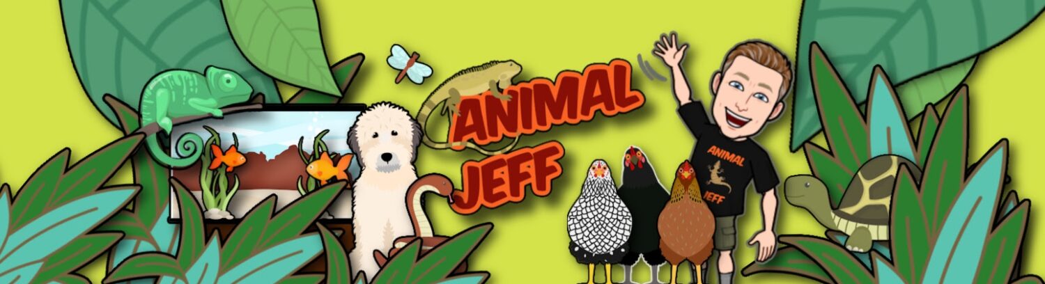 Animal Jeff